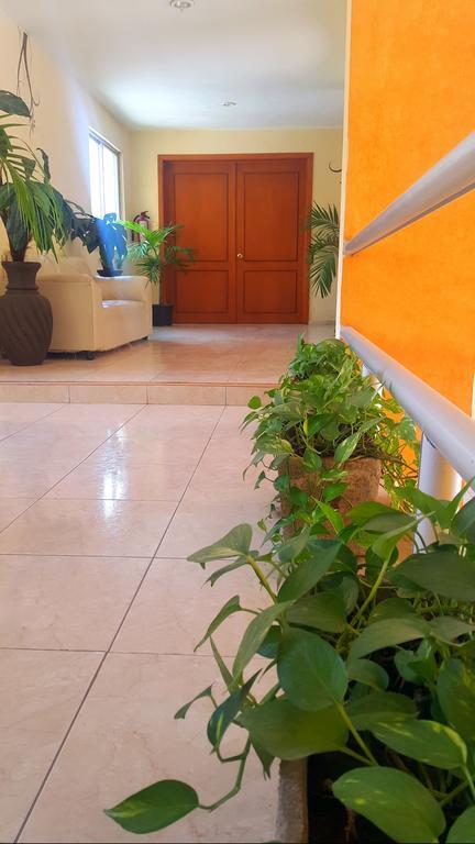 Hotel El Marques Merida Bagian luar foto
